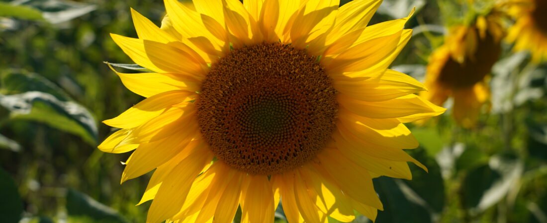 Was ich gern früher gewusst hätte…