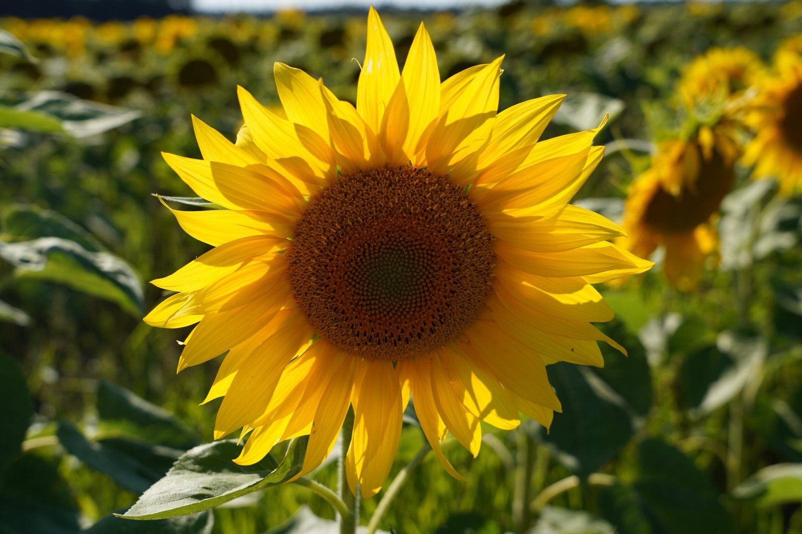 Was ich gern früher gewusst hätte…