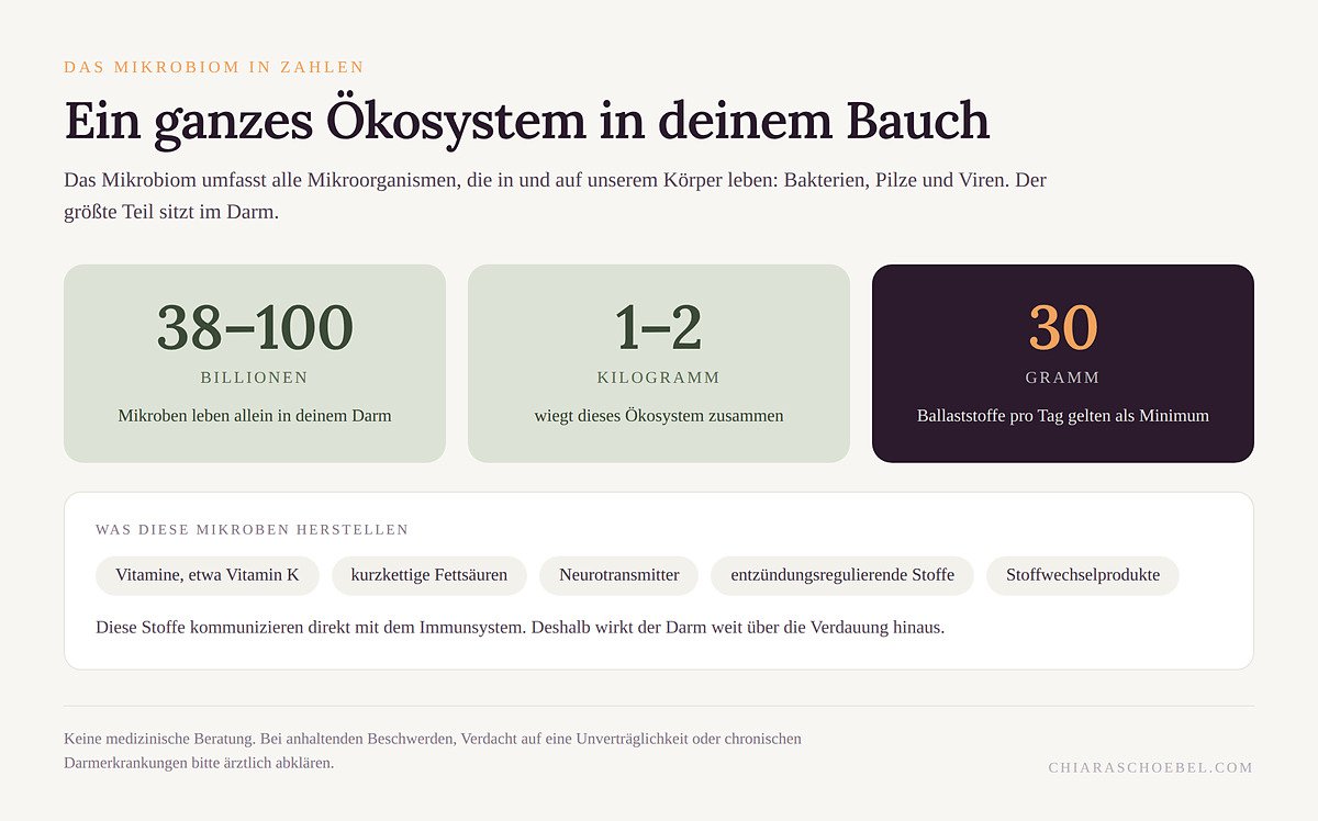 Das Mikrobiom in Zahlen: 38 bis 100 Billionen Mikroben, 1 bis 2 Kilogramm, 30 Gramm Ballaststoffe