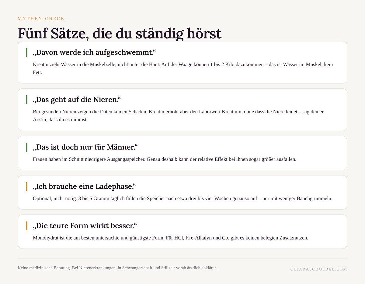 Mythen-Check: fünf verbreitete Aussagen über Kreatin
