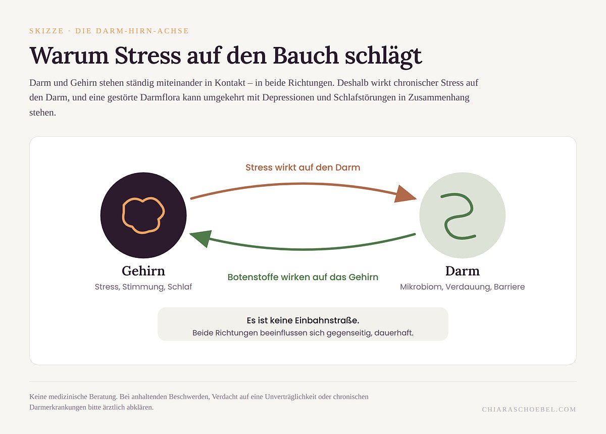 Skizze der Darm-Hirn-Achse