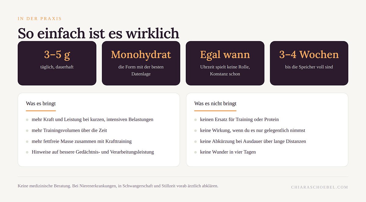 Übersicht zur Einnahme von Kreatin